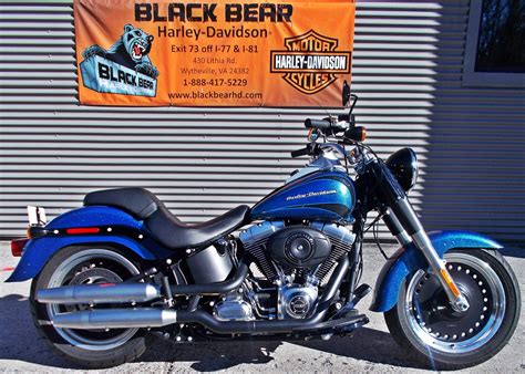 black bear harley